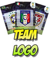 KARTY TEAM LOGO WORLD CUP BRAZIL 2014 ADRENALYN XL