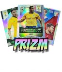 KARTY PRIZM PANINI PRIZM WORLD CUP