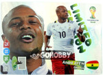 LIMITED EDITION ANDRE AYEW WORLD CUP 2014 BRAZIL