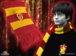 Szal Szalik Harry Potter Gryffindor