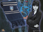 Szalik Harry Potter - Ravenclaw