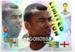 LIMITED EDITION ASHLEY COLE WORLD CUP 2014 BRAZIL Portret