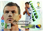 LIMITED EDITION EDIN DZEKO WORLD CUP 2014 BRAZIL