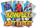 KARTY EXPERT WORLD CUP BRAZIL 2014 - KOMPLET 9 SZTUK