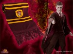 Szalik Harry Potter Gryffindor